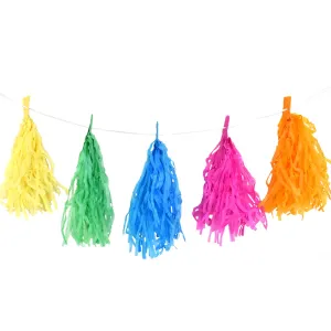 Rainbow Tassel Party Garland, 10-Feet, 9-1/2-Inch